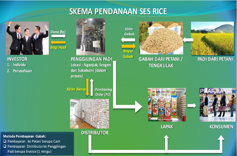 skeman pendanaan ses rice