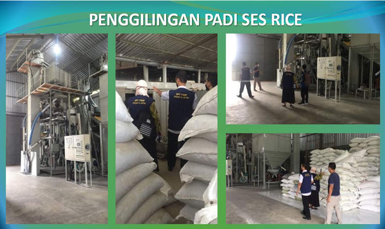 Penggiliangan padi ses rice